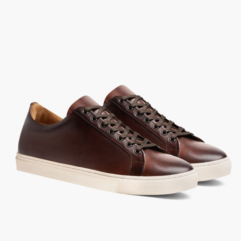 Premier Low Top Coffee Leather Sneakers pour Homme